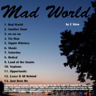 E Stew Mad World album insert